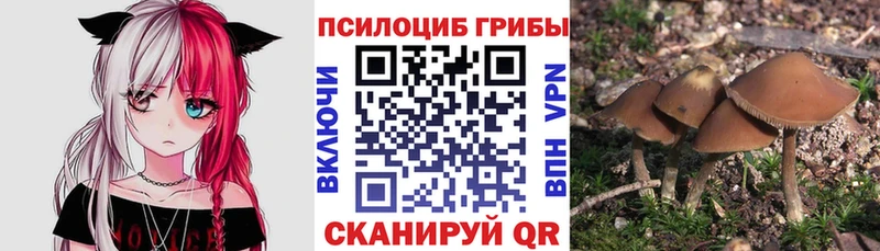 хочу наркоту Заречный Галлюциногенные грибы MAGIC MUSHROOMS